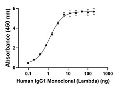 Invitrogen Goat anti-Human IgG (Lambda light chain) Recombinant Secondary