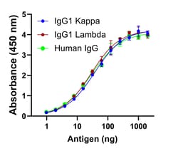 Invitrogen Goat anti-Human IgG Fab Superclonal Secondary Antibody:Antibodies:Secondary