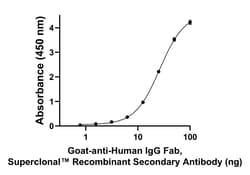 Invitrogen Goat anti-Human IgG Fab Superclonal Secondary Antibody:Antibodies:Secondary