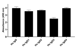 Invitrogen Goat anti-Human IgG Fab Superclonal Secondary Antibody:Antibodies:Secondary