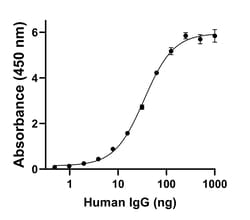 Invitrogen Goat anti-Human IgG (Heavy chain) Superclonal Secondary Antibody,