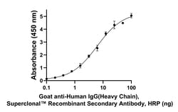 Invitrogen Goat anti-Human IgG (Heavy chain) Superclonal Secondary Antibody,