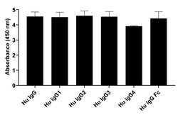 Invitrogen Goat anti-Human IgG (Heavy chain) Superclonal Secondary Antibody,