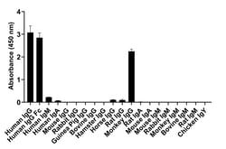 Invitrogen Goat anti-Human IgG (Heavy chain) Superclonal Secondary Antibody,