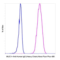 Invitrogen Goat anti-Human IgG (Heavy Chain) Superclonal Secondary Antibody,