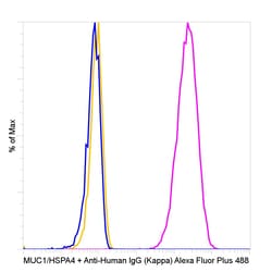 Invitrogen Goat anti-Human IgG (Kappa Light Chain) Recombinant Secondary