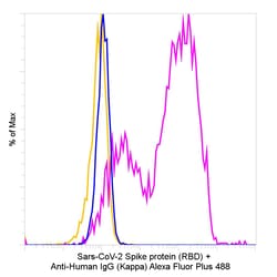 Invitrogen Goat anti-Human IgG (Kappa Light Chain) Recombinant Secondary