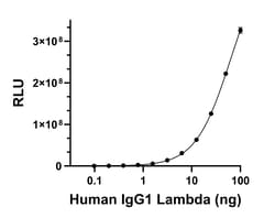 Invitrogen Goat anti-Human IgG (Lambda light chain) Recombinant Secondary