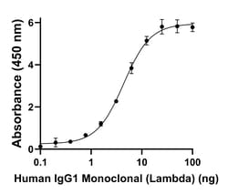 Invitrogen Goat anti-Human IgG (Lambda light chain) Recombinant Secondary