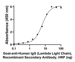 Invitrogen Goat anti-Human IgG (Lambda light chain) Recombinant Secondary