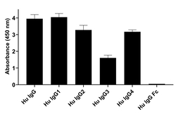 Invitrogen Goat anti-Human IgG Fab Superclonal Secondary Antibody, HRP