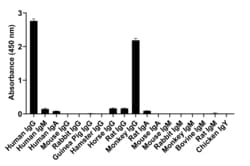 Invitrogen Goat anti-Human IgG (Heavy Chain) Superclonal Secondary Antibody, Alexa Fluor 488 250 &mu;L | Buy Online | Invitrogen&trade; | Fisher Scientific