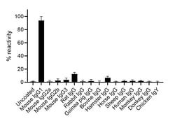 Invitrogen™ F(ab)-Goat anti-Mouse IgG1 Fc Secondary Antibody, Alexa Fluor™ 568