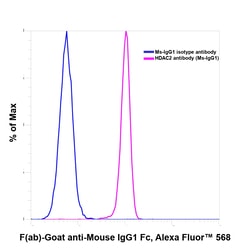 Invitrogen F(ab)-Goat anti-Mouse IgG1 Fc Secondary Antibody, Alexa Fluor