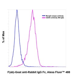 Invitrogen F(ab)-Goat anti-Rabbit IgG Fc Secondary Antibody, Alexa Fluor