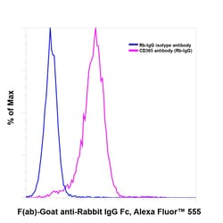 Invitrogen F(ab)-Goat anti-Rabbit IgG Fc Secondary Antibody, Alexa Fluor
