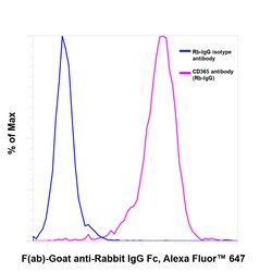 Invitrogen F(ab)-Goat anti-Rabbit IgG Fc Secondary Antibody, Alexa Fluor