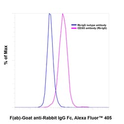 Invitrogen F(ab)-Goat anti-Rabbit IgG Fc Secondary Antibody, Alexa Fluor