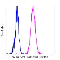 Invitrogen Goat anti-Rabbit IgG Fc, Cross-Adsorbed Secondary Antibody,