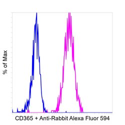 Invitrogen Goat anti-Rabbit IgG Fc, Cross-Adsorbed Secondary Antibody,