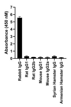 Invitrogen™ Goat anti-Rabbit IgG Fc, Cross-Adsorbed Secondary Antibody, Alexa Fluor™ 594