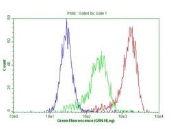 ABCB1 Monoclonal Antibody (OTI8D9), TrueMAB , OriGene:Antibodies:Primary