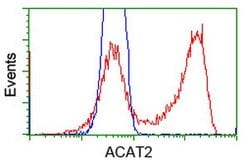 ACAT2 Mouse anti-Canine, Human, Rat, Clone: OTI1C5, lyophilized, TrueMAB
