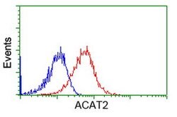 ACAT2 Mouse anti-Canine, Human, Rat, Clone: OTI1C5, lyophilized, TrueMAB