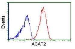 ACAT2 Mouse anti-Canine, Human, Rat, Clone: OTI1C5, lyophilized, TrueMAB