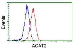 ACAT2 Monoclonal Antibody (OTI5F7), TrueMAB , OriGene 30 &mu;L; Unconjugated:Antibodies,