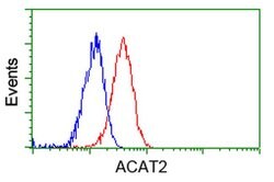 ACAT2 Monoclonal Antibody (OTI5F7), TrueMAB , OriGene 30 &mu;L; Unconjugated:Antibodies,