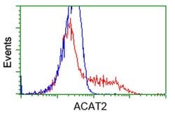 ACAT2 Monoclonal Antibody (OTI1G6), TrueMAB , OriGene 30 &mu;L; Unconjugated:Antibodies,