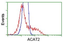 ACAT2 Mouse anti-Canine, Human, Rat, Clone: OTI3E2, liquid, TrueMAB 100