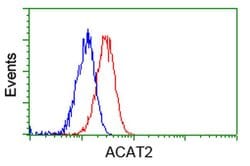 ACAT2 Mouse anti-Canine, Human, Rat, Clone: OTI3E2, liquid, TrueMAB 100