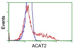 ACAT2 Mouse anti-Canine, Human, Rat, Clone: OTI5A2, lyophilized, TrueMAB 100 &mu;g | Buy Online | OriGene | Fisher Scientific