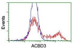 ACBD3 Monoclonal Antibody (OTI3E7), TrueMAB , OriGene 100 &mu;L; Unconjugated:Antibodies,