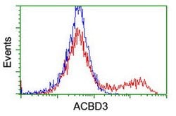 ACBD3 Mouse anti-Canine, Human, Rat, Clone: OTI3A1, lyophilized, TrueMAB