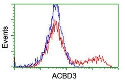 ACBD3 Monoclonal Antibody (OTI3A1), TrueMAB , OriGene 100 &mu;L; Unconjugated:Antibodies,