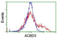 ACBD3 Mouse anti-Human, Mouse, Rat, Clone: OTI1B5, lyophilized, TrueMAB