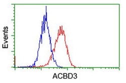 ACBD3 Mouse anti-Human, Mouse, Rat, Clone: OTI1B5, lyophilized, TrueMAB
