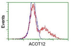 ACOT12 Mouse anti-Human, Clone: OTI1A11, lyophilized, TrueMAB 100 &mu;g;
