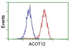 ACOT12 Mouse anti-Human, Clone: OTI1A11, lyophilized, TrueMAB 100 &mu;g;