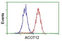 ACOT12 Monoclonal Antibody (OTI1A11), TrueMAB , OriGene 100 &mu;L; Unconjugated:Antibodies,