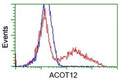 ACOT12 Mouse anti-Human, Clone: OTI2D11, lyophilized, TrueMAB 100 &mu;g;