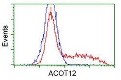 ACOT12 Mouse anti-Human, Clone: OTI1D3, lyophilized, TrueMAB 100 &mu;g;