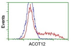 ACOT12 Monoclonal Antibody (OTI1D3), TrueMAB , OriGene 100 μL; Unconjugated:Antibodies,