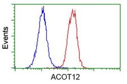 ACOT12 Mouse anti-Human, Clone: OTI1D3, lyophilized, TrueMAB 100 &mu;g;
