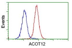 ACOT12 Mouse anti-Human, Clone: OTI1D3, lyophilized, TrueMAB 100 &mu;g;