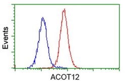 ACOT12 Monoclonal Antibody (OTI1D3), TrueMAB , OriGene 100 μL; Unconjugated:Antibodies,
