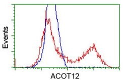 ACOT12 Monoclonal Antibody (OTI2F10), TrueMAB , OriGene 100 &mu;L; Unconjugated:Antibodies,